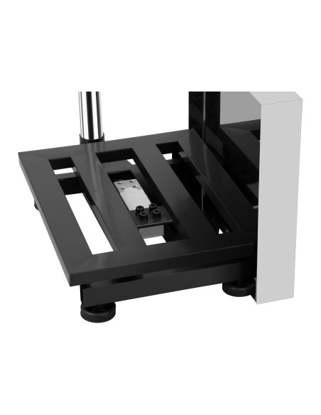 Sandėliavimo platforminės svarstyklės su 30x40cm maitinimo šaltiniu + baterija 100kg / 10g Sandėliavimo platforminės svarstyklės su 30x40cm maitinimo šaltiniu + baterija 100kg / 10g