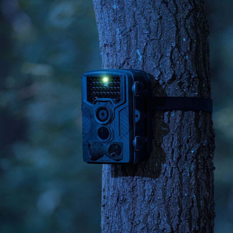 Kameros gaudyklės miško kamera su judesio jutikliu 8MP F-HD 20m IR LED USB