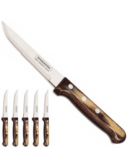 Churrasco GAUCHO kepsnių peilių rinkinys 6 vnt. lizdinėje plokštelėje, ilgis 235 mm