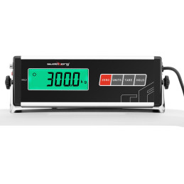 Sandėliavimo platformos svarstyklės 100 x 95 cm LCD RS232 300 kg / 100 g
