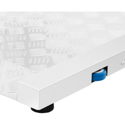 Sandėliavimo platformos svarstyklės 100 x 95 cm LCD RS232 300 kg / 100 g