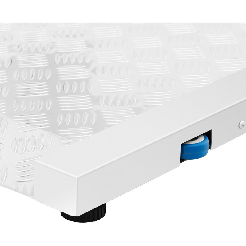 Sandėliavimo platformos svarstyklės 100 x 95 cm LCD RS232 300 kg / 100 g