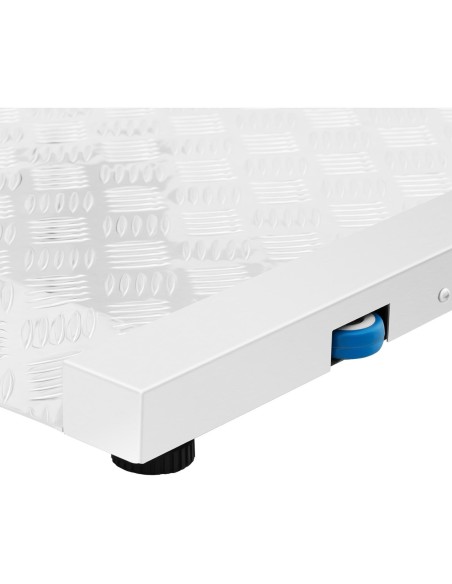 Sandėliavimo platformos svarstyklės 100 x 95 cm LCD RS232 300 kg / 100 g Sandėliavimo platformos svarstyklės 100 x 95 cm LCD RS232 300 kg / 100 g