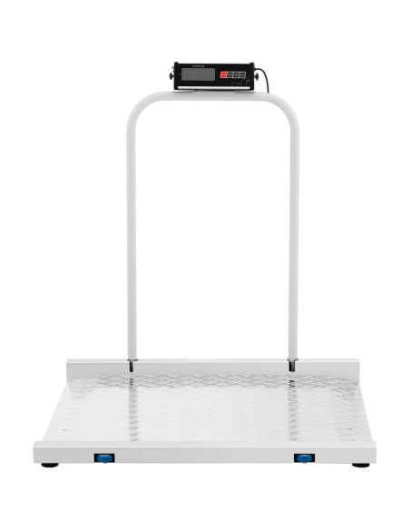 Sandėliavimo platformos svarstyklės 100 x 95 cm LCD RS232 300 kg / 100 g Sandėliavimo platformos svarstyklės 100 x 95 cm LCD RS232 300 kg / 100 g