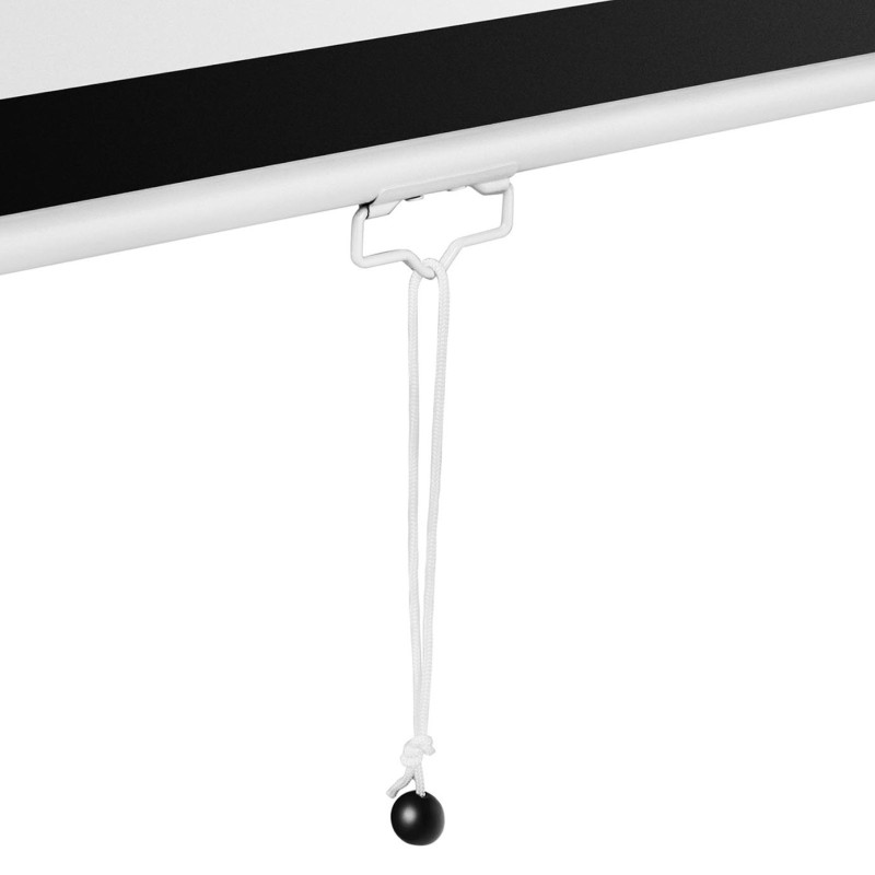 Pusiau automatinis projektoriaus ekranas sieninės lubos matinės baltos 150'' 340x210 cm 16:9
