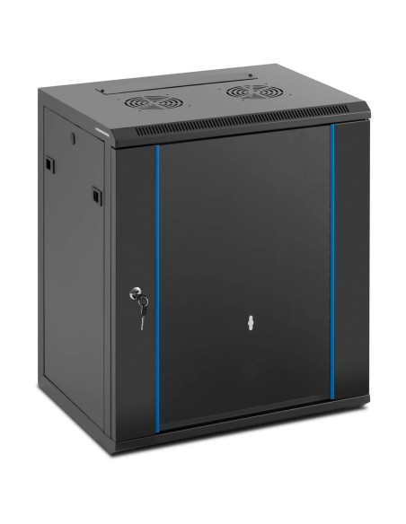 RACK tinklo serverio spintelė pakabinama 19'' 12U IP20 iki 60 kg 54x39x62 cm JUoda
