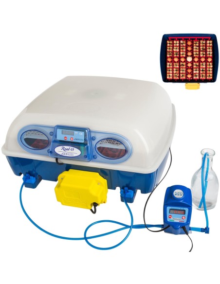 Automatinis inkubatorius 49 kiaušiniams su drėkinimo sistema profesionali 150 W Automatinis inkubatorius 49 kiaušiniams su drėkinimo sistema profesionali 150 W