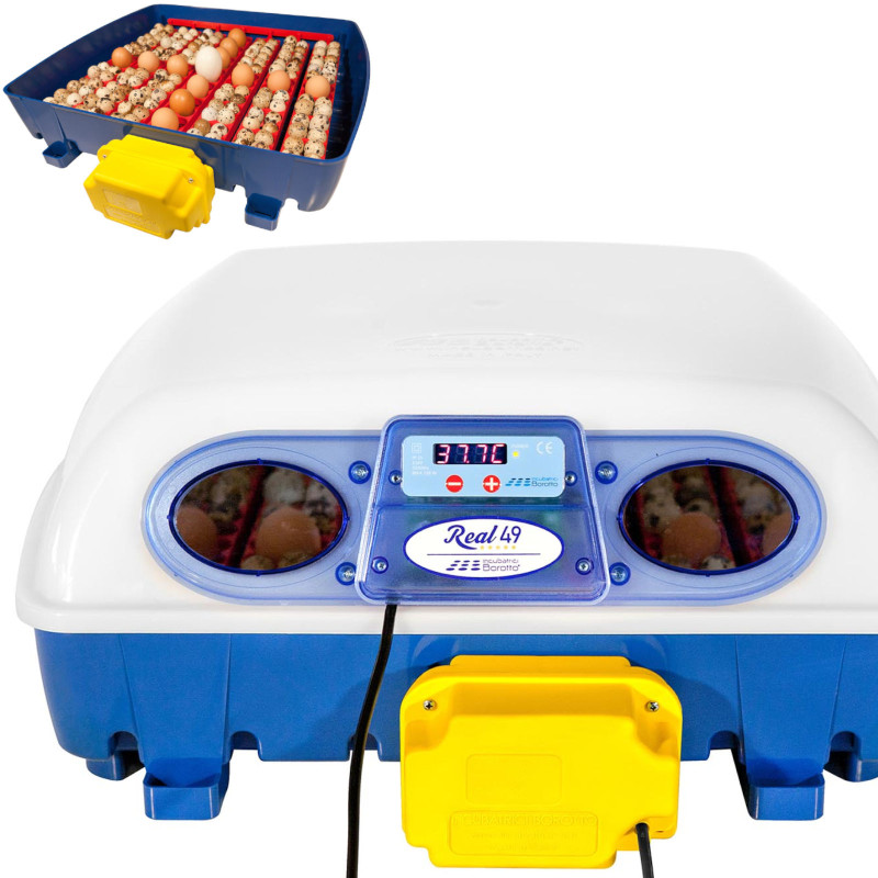 Automatinis inkubatorius 49 kiaušiniams su vandens dozatoriumi profesionaliu 150 W Automatinis inkubatorius 49 kiaušiniams su vandens dozatoriumi profesionaliu 150 W