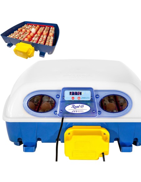 Automatinis inkubatorius 49 kiaušiniams su vandens dozatoriumi profesionaliu 150 W