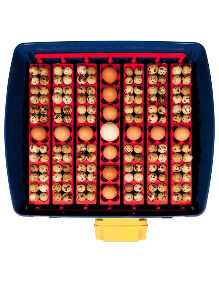 Automatinis inkubatorius 49 kiaušiniams su vandens dozatoriumi profesionaliu 150 W