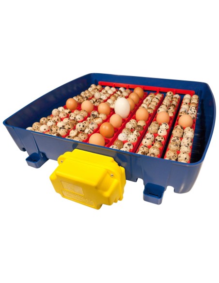 Automatinis inkubatorius 49 kiaušiniams su vandens dozatoriumi profesionaliu 150 W