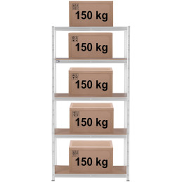 Metalinė laikymo lentyna su 5 lentynomis 750 kg 100 x 50 x 197 cm pilka
