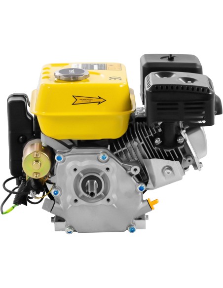 Vieno cilindro 4 taktų benzininis variklis su elektriniu paleidimu 7 AG 3,6 l Vieno cilindro 4 taktų benzininis variklis su elektriniu paleidimu 7 AG 3,6 l