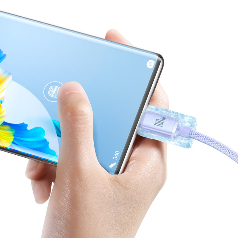 Kabelio laidas greitam įkrovimui ir duomenų perdavimui USB USB-C 100W 2m violetinė