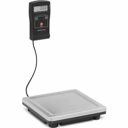 Elektroninės šaltnešio svarstyklės oro kondicionieriaus šaldymo LCD 80 / 0,02 kg