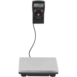 Elektroninės šaltnešio svarstyklės oro kondicionieriaus šaldymo LCD 80 / 0,02 kg