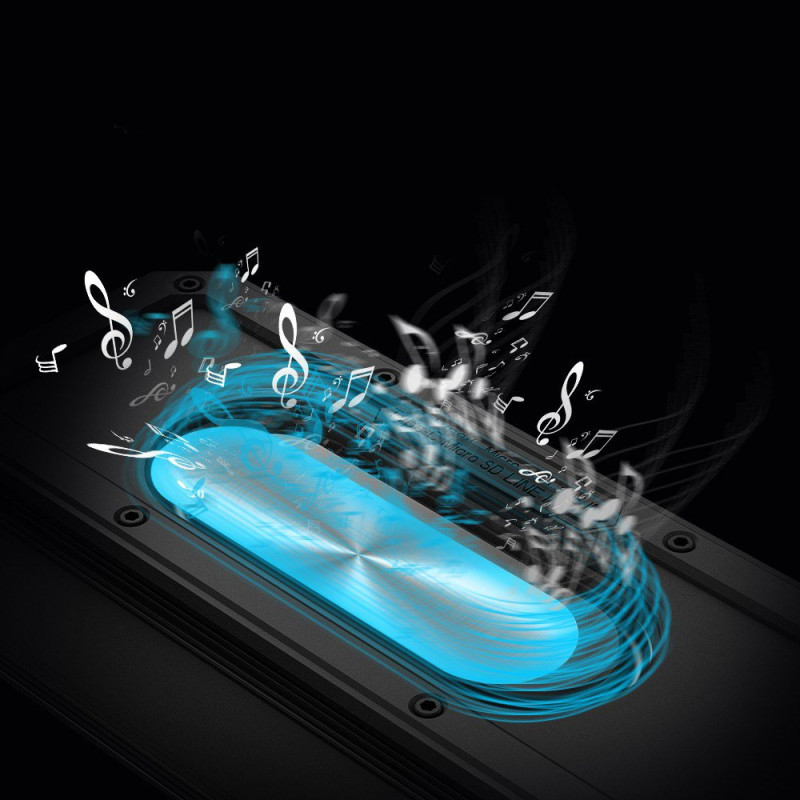 Element Force+ 40W NFC belaidė Bluetooth garsiakalbė juoda