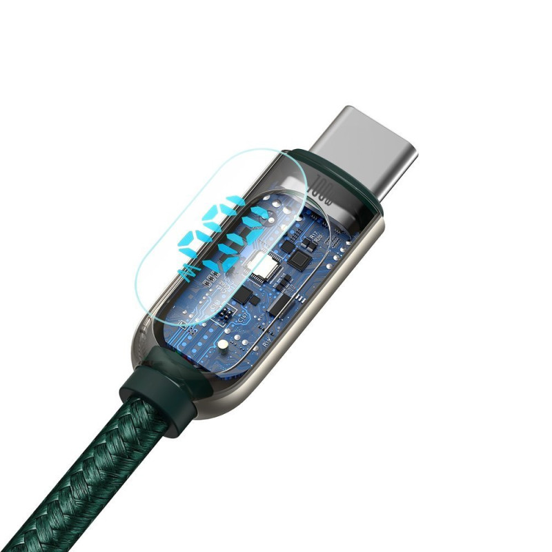 Pintas kabelis USB-C USB-C 100W su galios matuoklio ekranu 1 m žalias