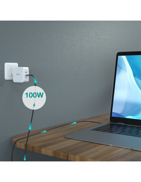 Greitas įkroviklis GaN 2xUSB Type C Power Delivery 3.0 QuickCharge 3.0 AFC 100W balta