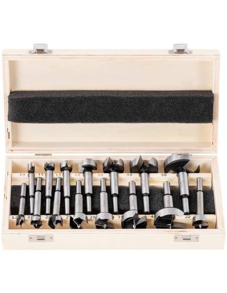 Forstner grąžtų rinkinys gipso kartono medienai HRC50 ilgis 90 mm sk. 10-50mm - 15 vnt. Forstner grąžtų rinkinys gipso kartono medienai HRC50 ilgis 90 mm sk. 10-50mm - 15 vnt.