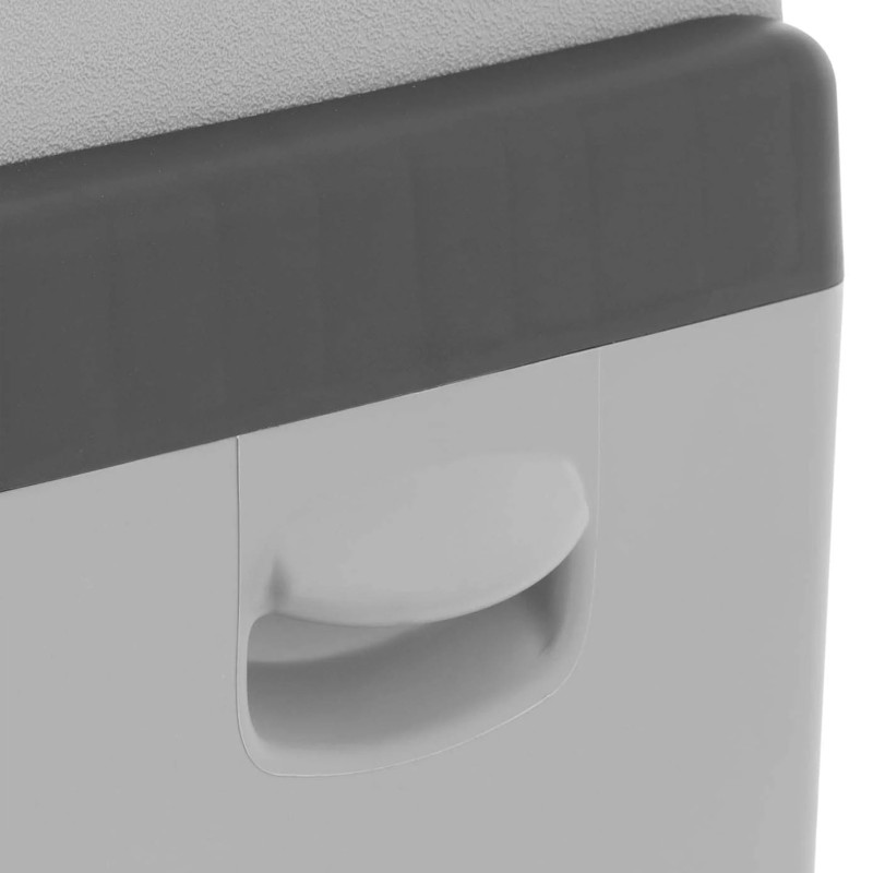 Nešiojamas automobilinis šaldytuvas su užšaldymo funkcija 12/24 V DC/AC 60 W 20 l