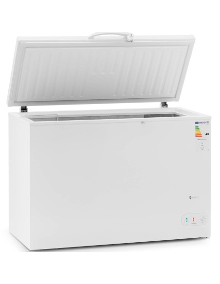 Užrakinamas krūtinės šaldiklis 1 krepšelis 242 L 63 W