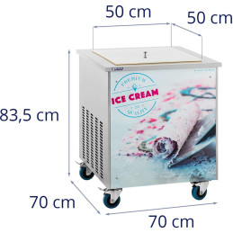 Susukta Tailando ledų aparato šaldymo lėkštė 50 x 50 cm 600 W