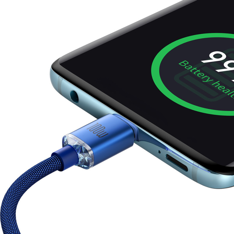 Laido laidas greitam įkrovimui ir duomenų perdavimui USB-C USB-C 100W 1,2m mėlynas
