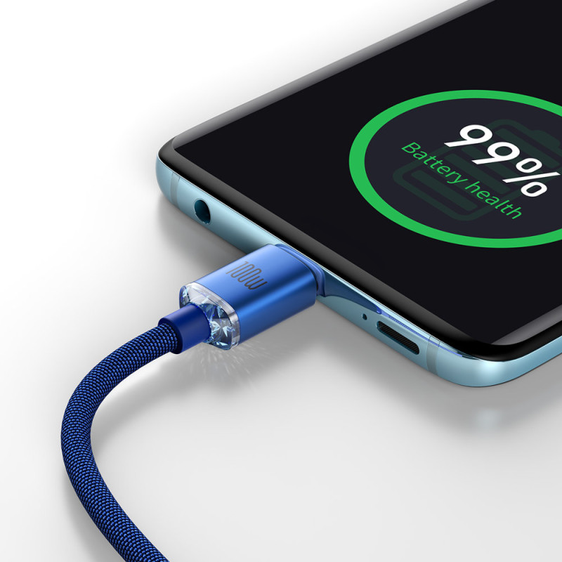 Laido laidas greitam įkrovimui ir duomenų perdavimui USB-C USB-C 100W 1,2m mėlynas