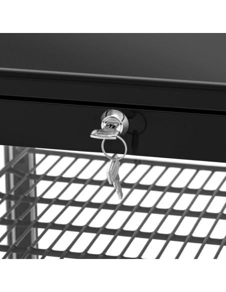 4 lygių įstiklinta šaldytuvo vitrina 78 l - juoda