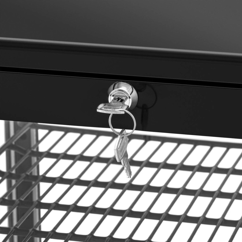 3 lygių įstiklinta šaldytuvo vitrina 58 l - juoda