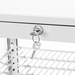 4 lygių įstiklinta šaldytuvo vitrina 78 l - balta