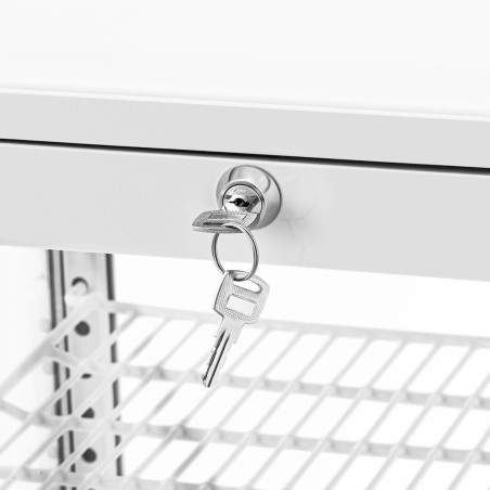 4 lygių įstiklinta šaldytuvo vitrina 78 l - balta 4 lygių įstiklinta šaldytuvo vitrina 78 l - balta