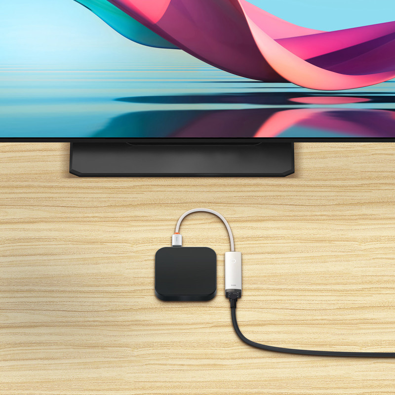 Išorinė tinklo plokštė USB-C RJ-45 100Mbps balta