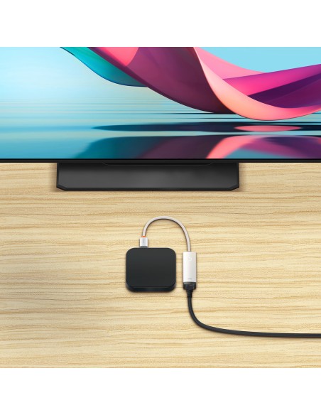 Išorinė tinklo plokštė USB-C RJ-45 100Mbps balta Išorinė tinklo plokštė USB-C RJ-45 100Mbps balta