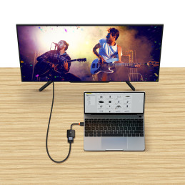 Adapterio adapteris HDMI į VGA + mini lizdas 3,5 mm microUSB maitinimo juodas
