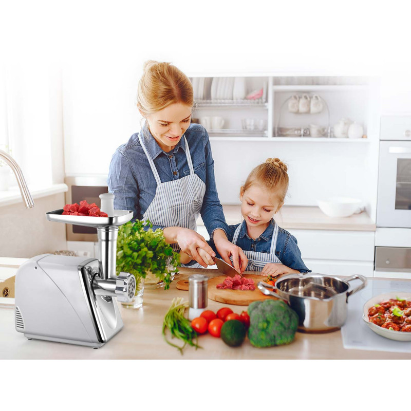 Profesionali elektrinė mėsmalė Berdsen 550 - 1200W