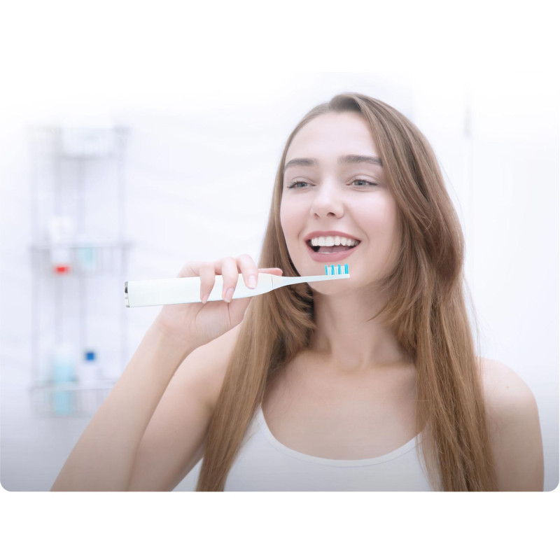 Berdsen sonic šepetėlių galvutės 4 vnt.