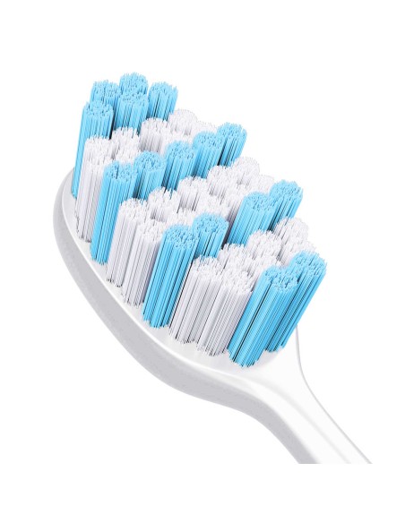 Berdsen sonic šepetėlių galvutės 2 vnt.