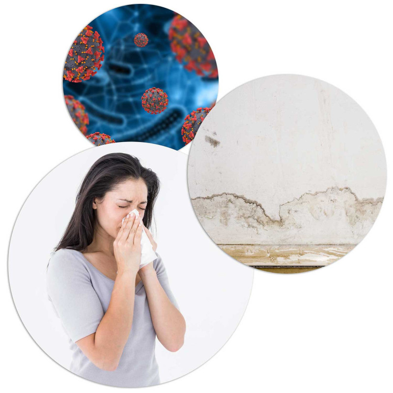 Oro džiovintuvas - drėgmės sugėriklis Berdsen BR-75B baltas