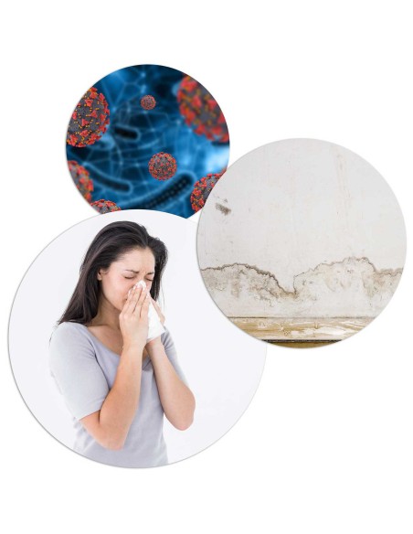 Oro džiovintuvas - drėgmės sugėriklis Berdsen BR-75B baltas