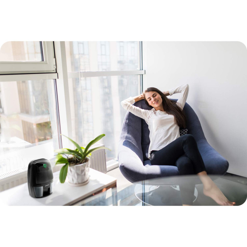 Oro džiovintuvas - drėgmės sugėriklis Berdsen BR-50B juodas