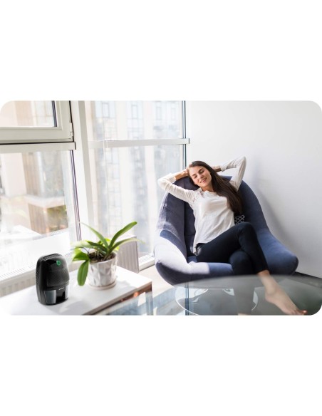 Oro džiovintuvas - drėgmės sugėriklis Berdsen BR-50B juodas