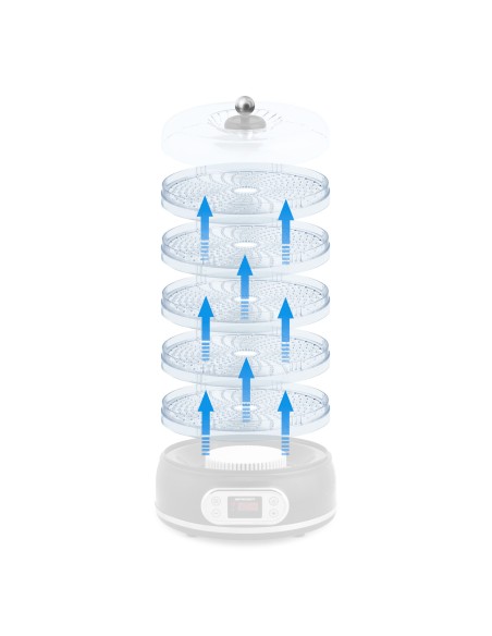 Padėklas grybų ir vaisių džiovyklei BD-691