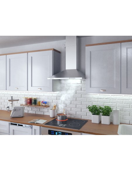 Dūmtraukis gartraukis 60 cm Berdsen BT-213 INOX