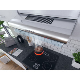Po spintele esantis gartraukis - absorberis 50 cm Berdsen BE-10-A INOX
