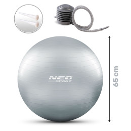 Mankštos kamuolys 65 cm NS-951 sidabrinis