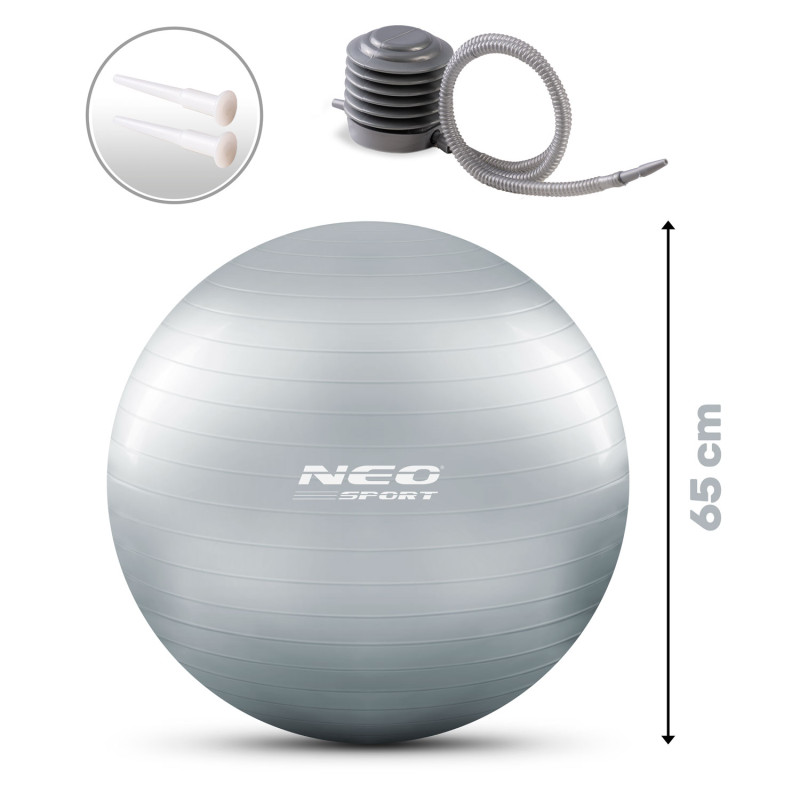 Mankštos kamuolys 65 cm NS-951 sidabrinis