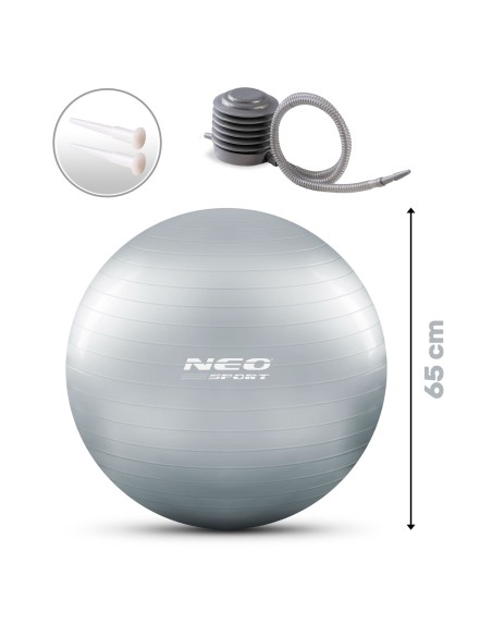 Mankštos kamuolys 65 cm NS-951 sidabrinis Mankštos kamuolys 65 cm NS-951 sidabrinis