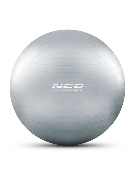 Mankštos kamuolys 65 cm NS-951 sidabrinis Mankštos kamuolys 65 cm NS-951 sidabrinis